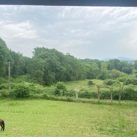 Appartement Dans Belle Maison Basque Mouguerre Экстерьер фото